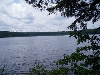 SUMMER RD, South River Deer Lake
