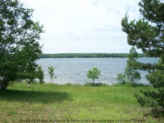 100 MCLEAN`S RD, South River Ontario, Canada