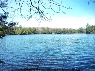 morris lane, South River Ontario, Canada