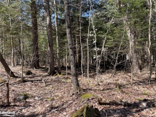 skyline drive, Armour Ontario, Canada
