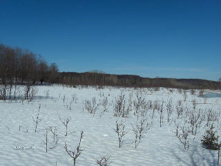 HIGHWAY #522, Bear Valley Ontario, Canada Located on Pine Lake