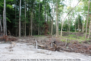 MEADOWLAND RD, Arnstein Ontario, Canada Located on Clear Lake