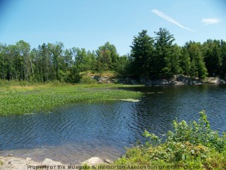 OLD STAGE RD, Arnstein Ontario, Canada Located on Seagull Lake