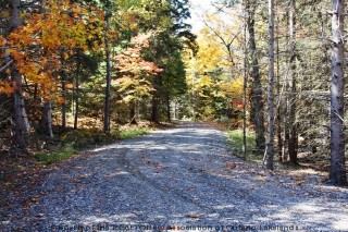 MEADOWLAND RD, Arnstein Ontario, Canada