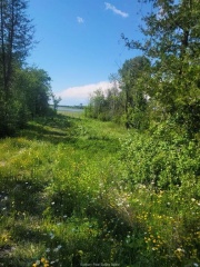 2440 highway 540, Little Current Ontario, Canada