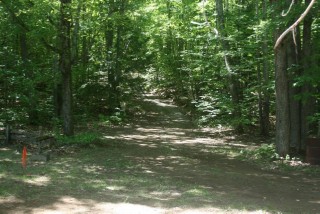 41 harvey cove lane lane, North Kawartha Ontario, Canada