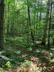 pt 3 county road 46, Havelock Ontario, Canada