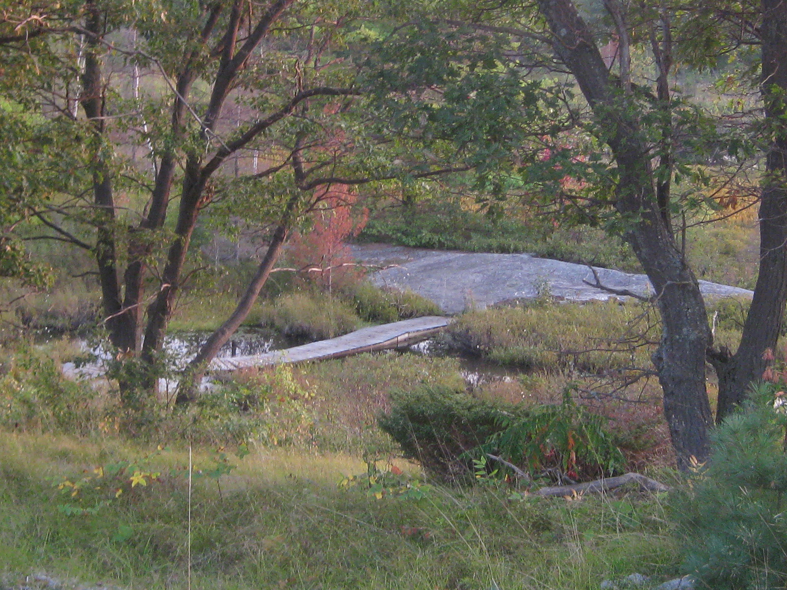 Muskoka Lake hardy trail on water