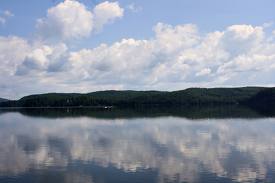 Elephant Lake Bancroft Real Estate Ted Bartlett Remax