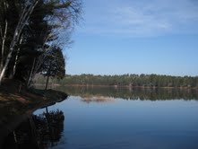 Big Mink Lake Bancroft Real Estate Ted Bartlett Remax