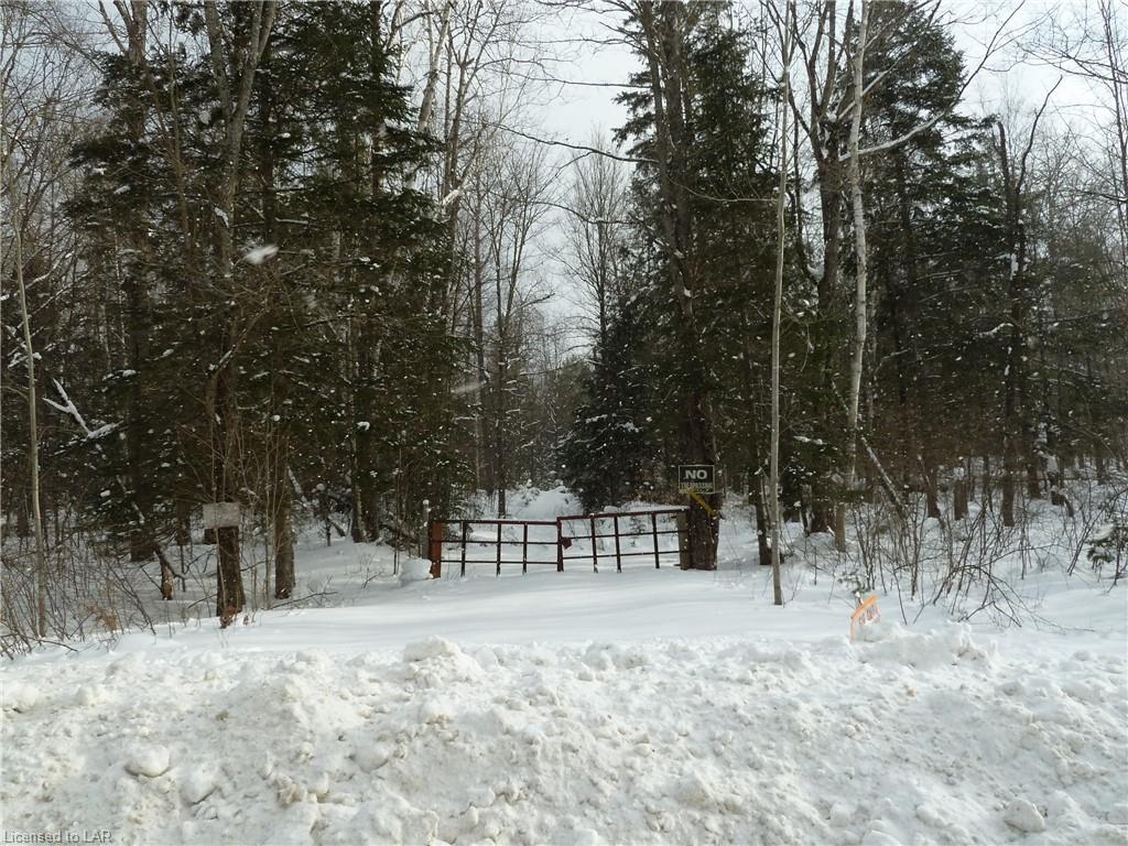 KAWAGAMA LAKE Road, Dorset, Ontario (ID 40068091)