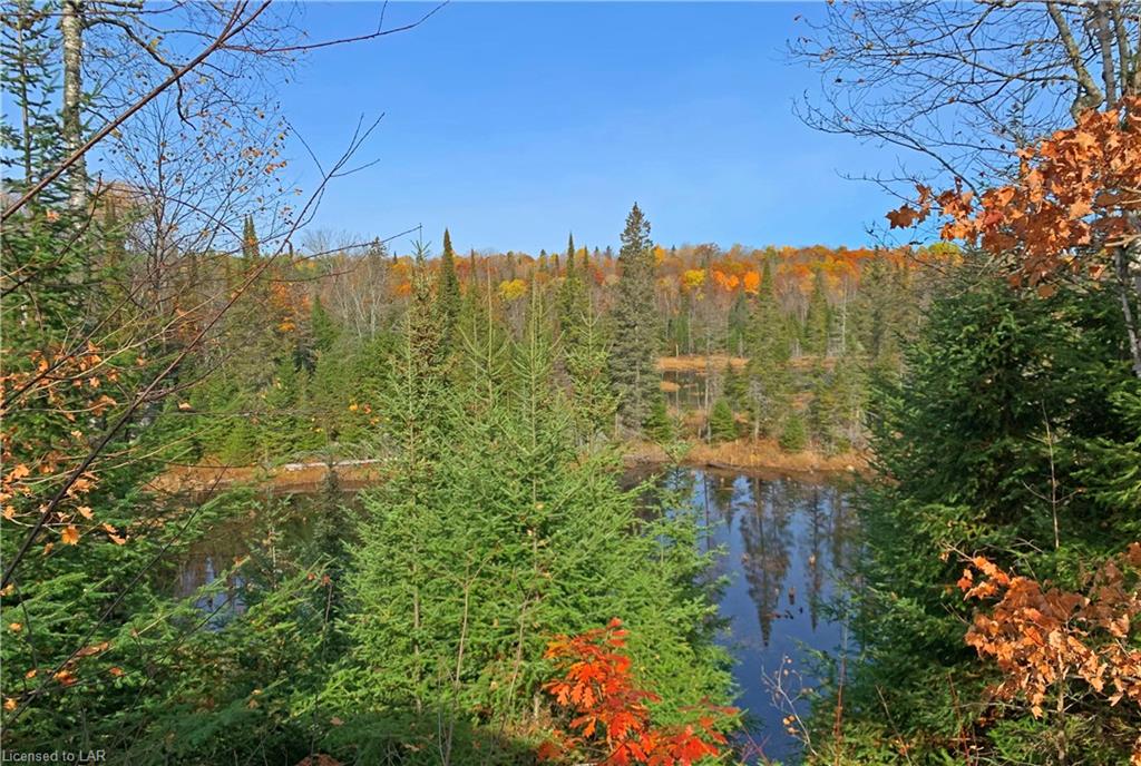 1045 GLAMORGAN Road, Highlands East, Ontario (ID 244575)