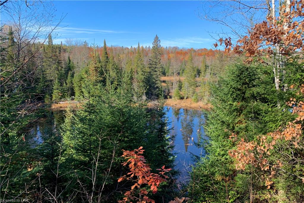 1045 GLAMORGAN Road, Highlands East, Ontario (ID 244575)