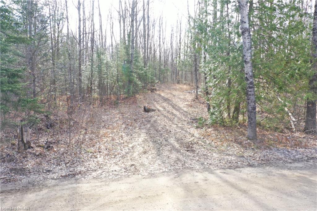FORTESQUE LAKE Road, Gooderham, Ontario (ID 244944)