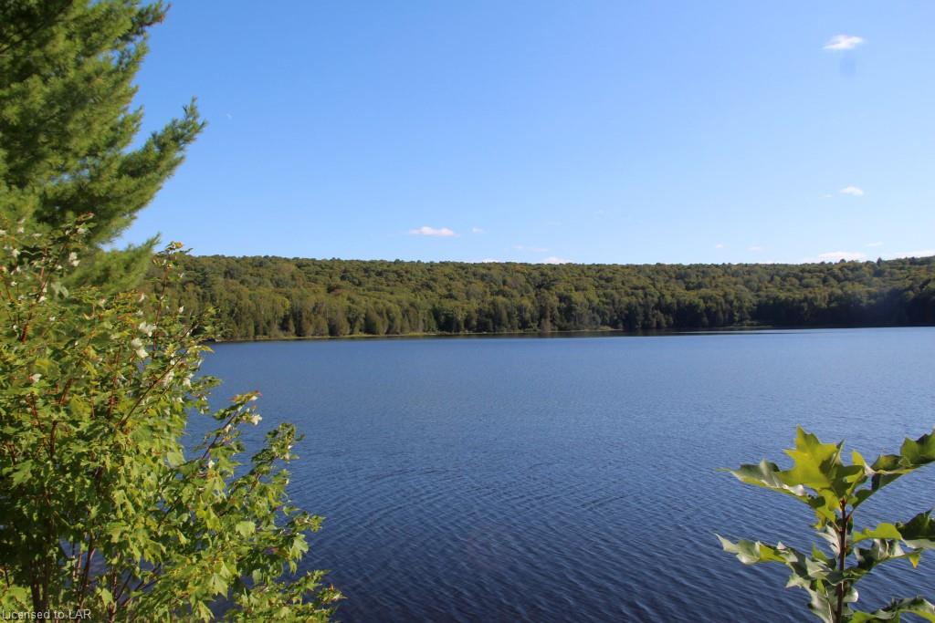 COLEMAN LAKE Road, Haliburton, Ontario (ID 40014593)