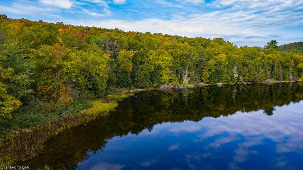 COLEMAN LAKE Road, Haliburton, Ontario (ID 40049265)