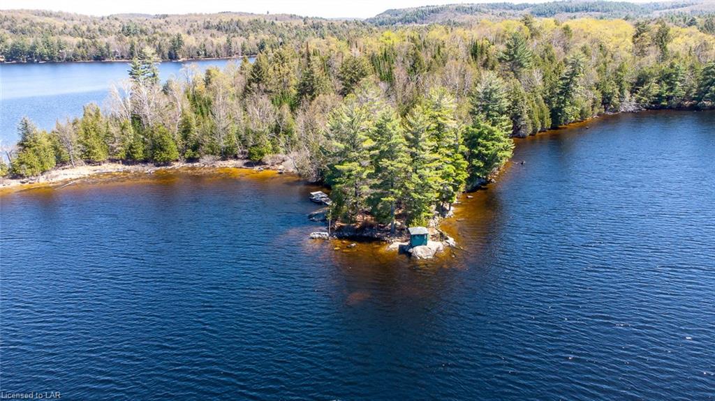 12066 LITTLE RED Island, Haliburton, Ontario (ID 40097521)