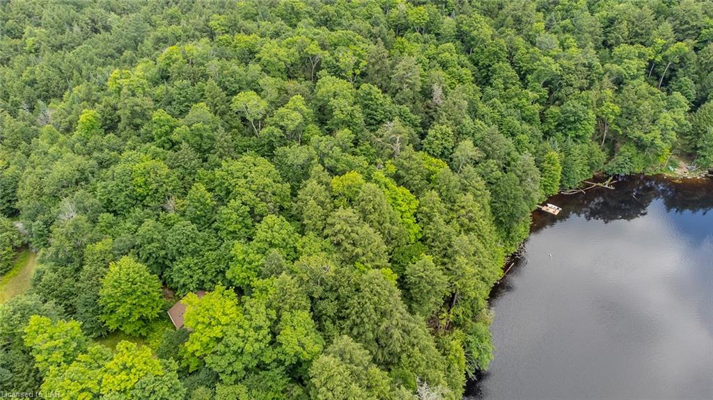 N/A MINNOW Drive, Haliburton, Ontario (ID 40143490)