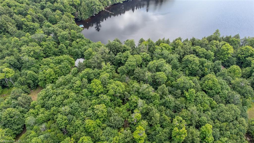 N/A MINNOW Drive, Haliburton, Ontario (ID 40143490)