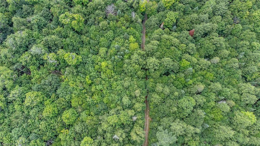 N/A MINNOW Drive, Haliburton, Ontario (ID 40143490)