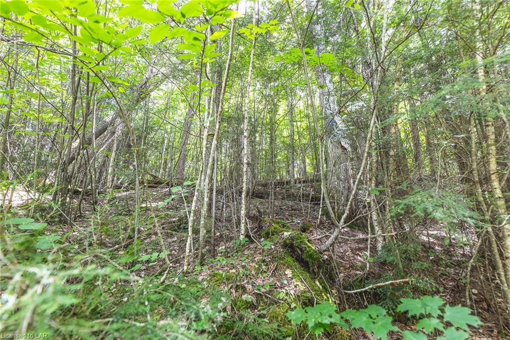 N/A MINNOW Drive, Haliburton, Ontario (ID 40143490)