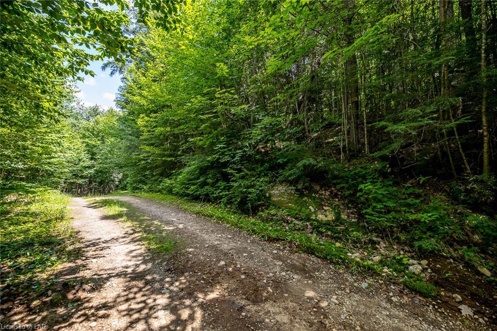 N/A MINNOW Drive, Haliburton, Ontario (ID 40143490)