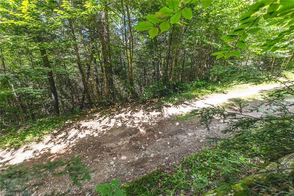 N/A MINNOW Drive, Haliburton, Ontario (ID 40143490)