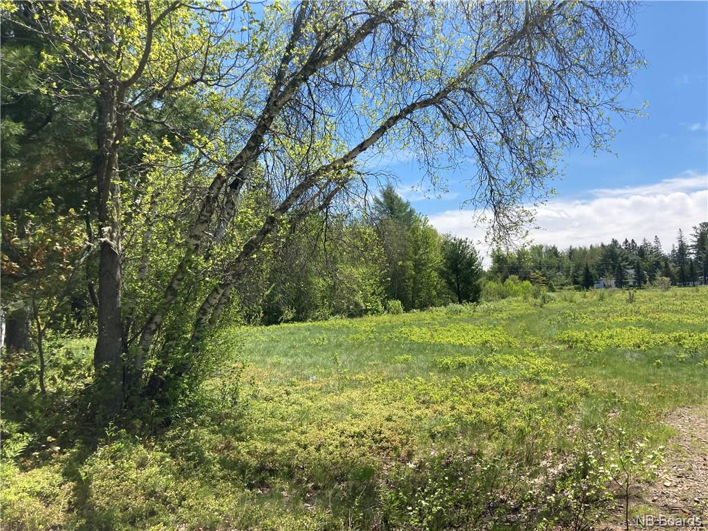 Lot Northrup Drive, Chipman, New Brunswick (ID NB058644)
