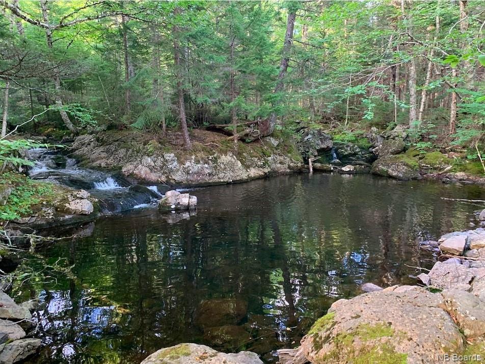 - Upper Quaco Road, Fairfield, New Brunswick (ID NB048813)