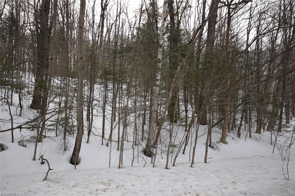. KASHAGAWIGAMOG LAKE Road, Haliburton, Ontario (ID 40079239)