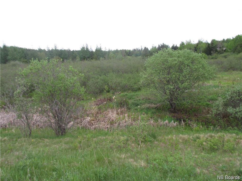 - William Bell Drive, Hampton, New Brunswick (ID NB072401)