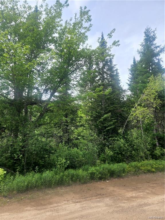 Lot 08-13 Carten Road, Cedar Camp, New Brunswick (ID NB080525)
