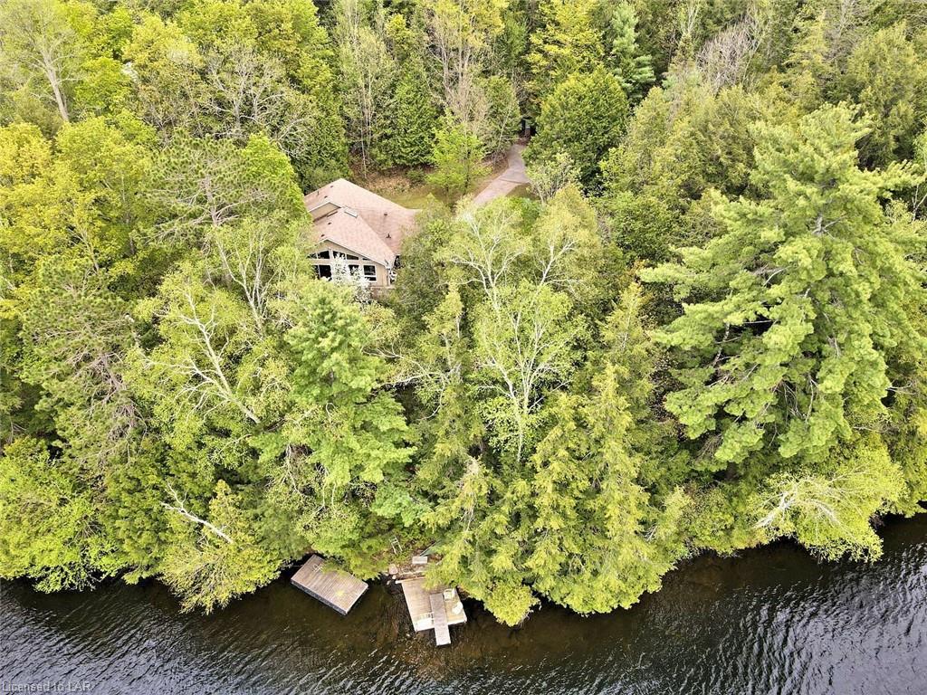 3373 KASHAGAWIGAMOG LAKE Road, Haliburton, Ontario (ID 40126886)