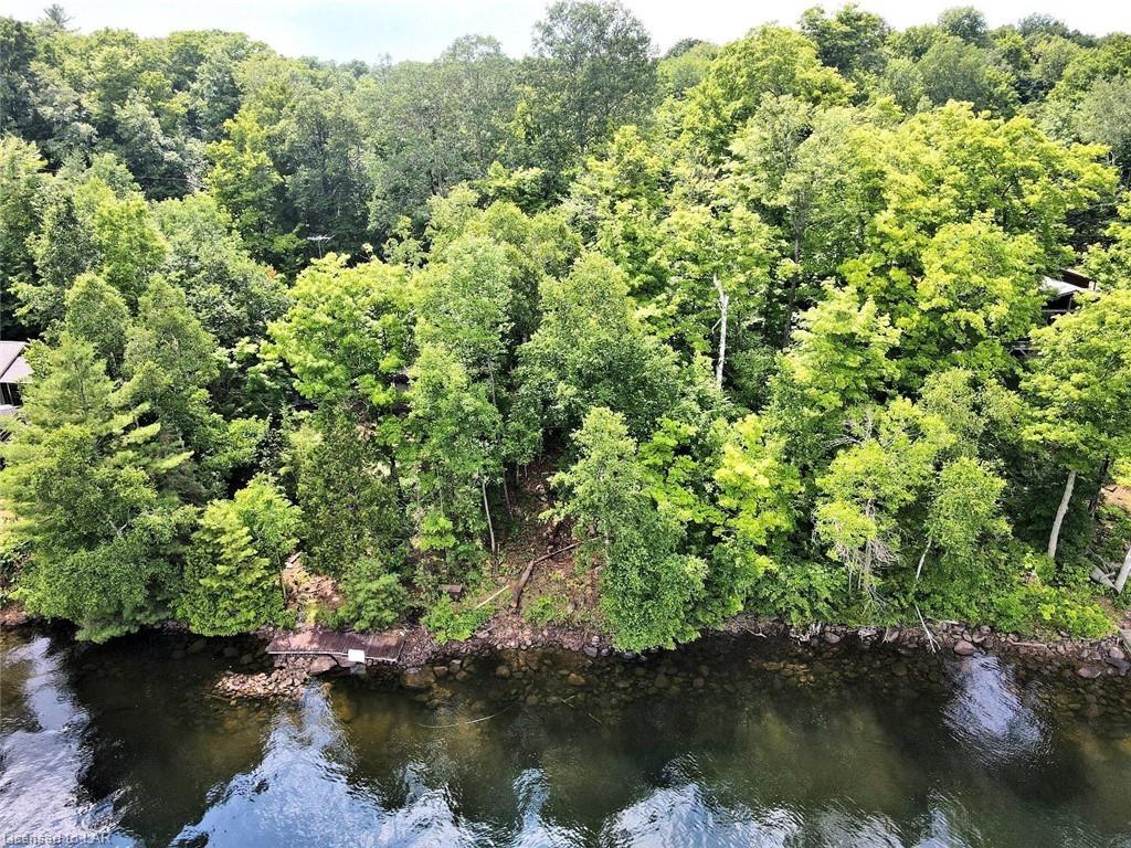 1520 BOB LAKE Road, Minden, Ontario (ID 40134207)