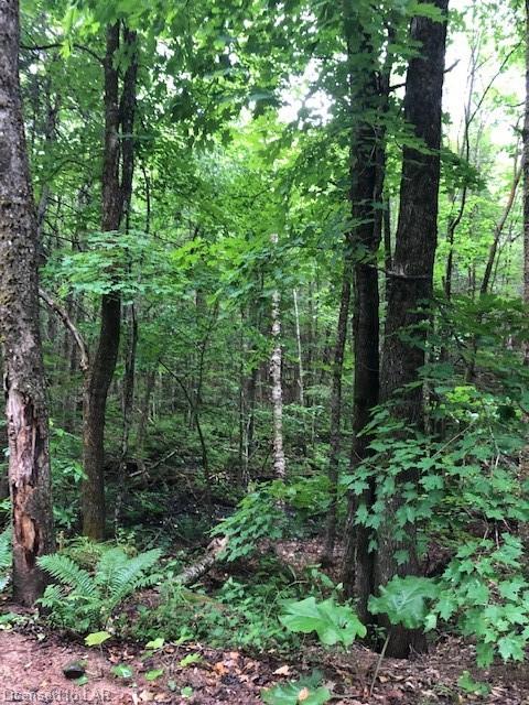 LOT 7 ANDERSON Road, Tory Hill, Ontario (ID 40141962)