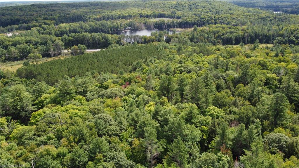- KUSHOG LAKE Road, Minden, Ontario (ID 40161301)