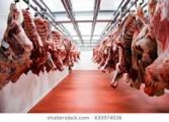 ID ABATTOIR