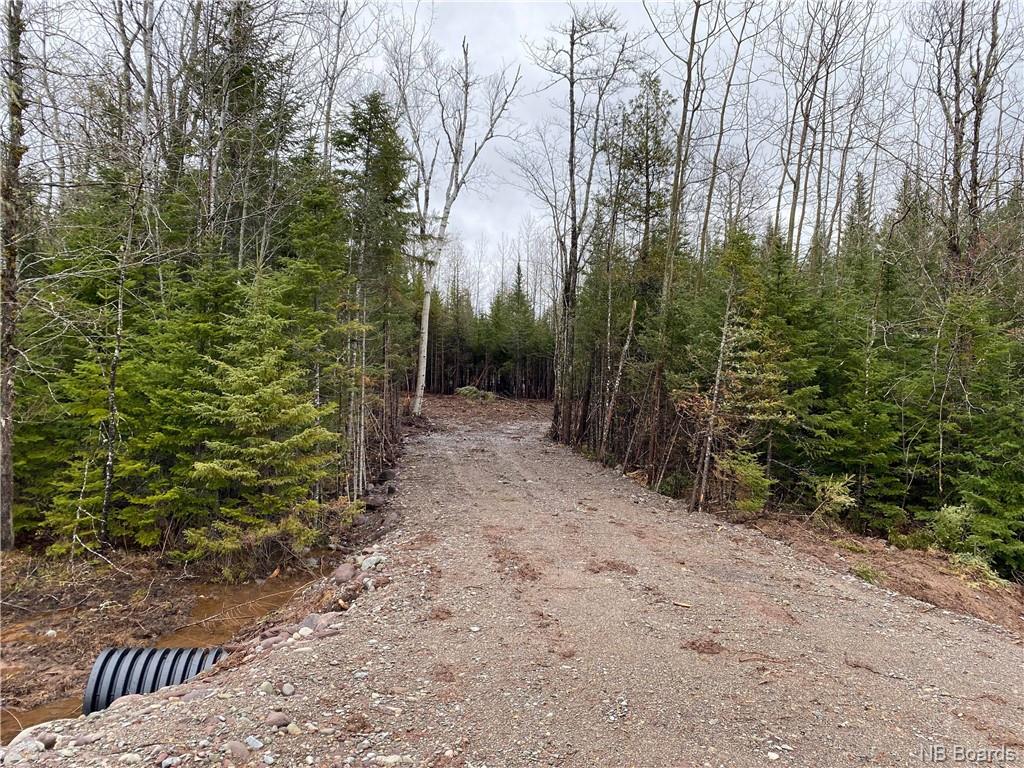 Lot 2020-1 Levesque Drive, Charters Settlement, New Brunswick (ID NB071680)