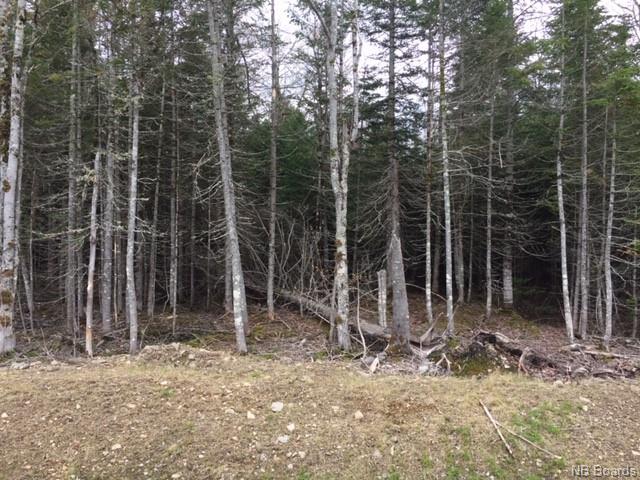 Lot 11-10 Copperhill Lane, Killarney Road, New Brunswick (ID NB049246)