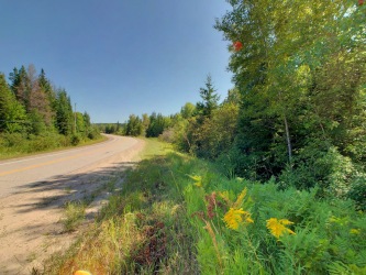 Pt Lt 24 Meteorite Lake Rd, Highlands East, Ontario (ID 222048)