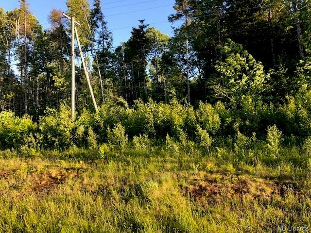 Lot 540 Route, Richmond Corner, New Brunswick (ID NB022444)