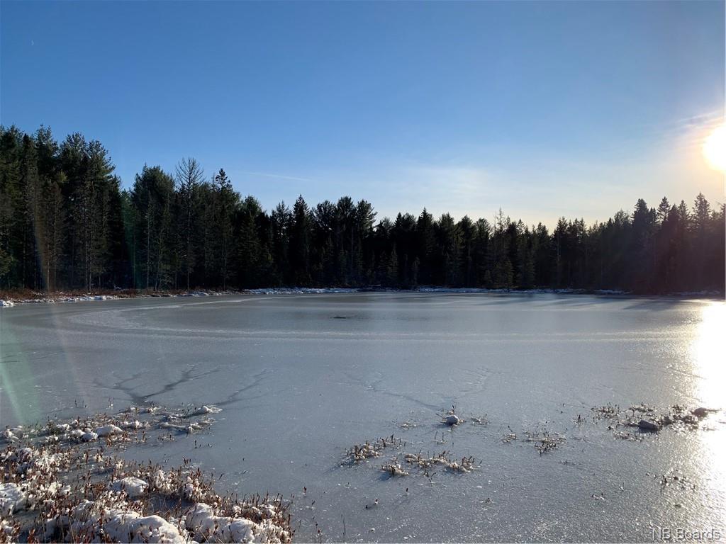 Vacant Lot 3 Route, Brockway, New Brunswick (ID NB044452)
