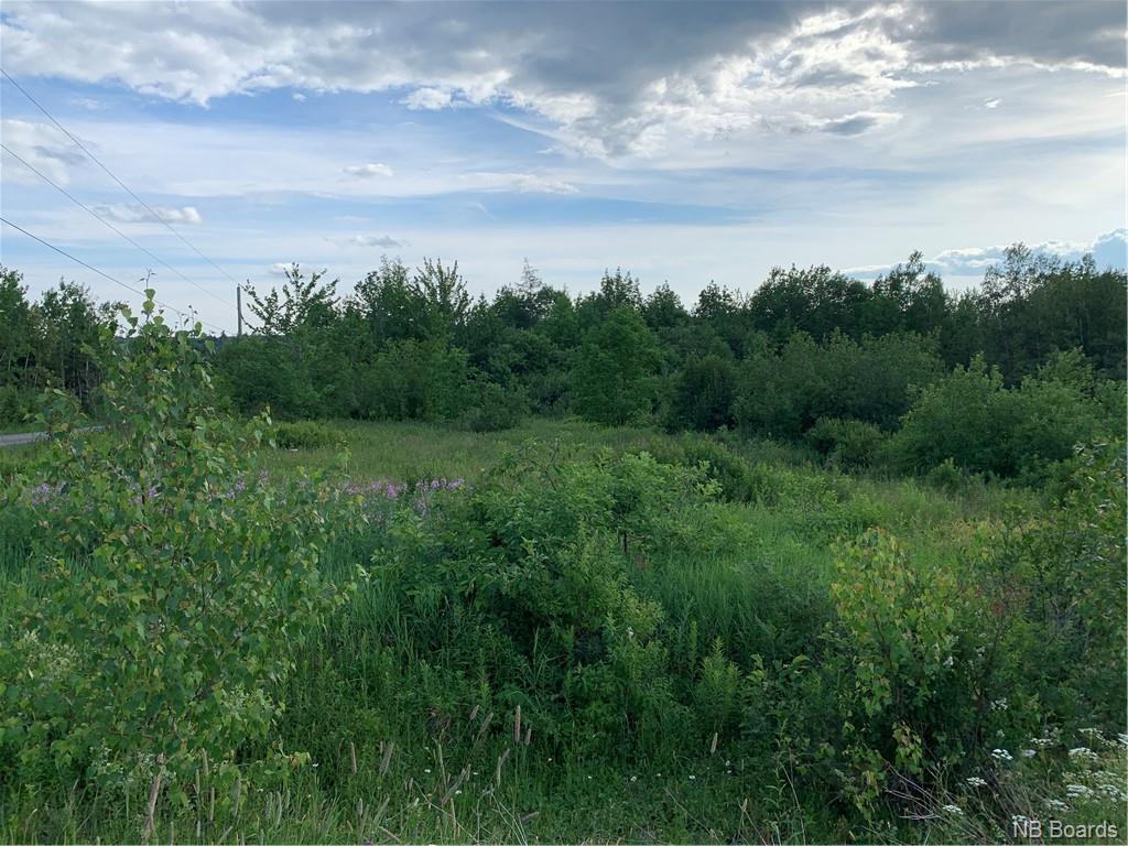 Vacant Lot 07-2 Hailey Court, Yoho, New Brunswick (ID NB045642)