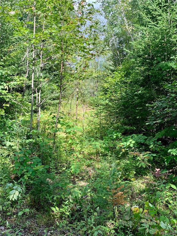 Vacant Lot 2894 Route 3, Harvey, New Brunswick (ID NB052654)