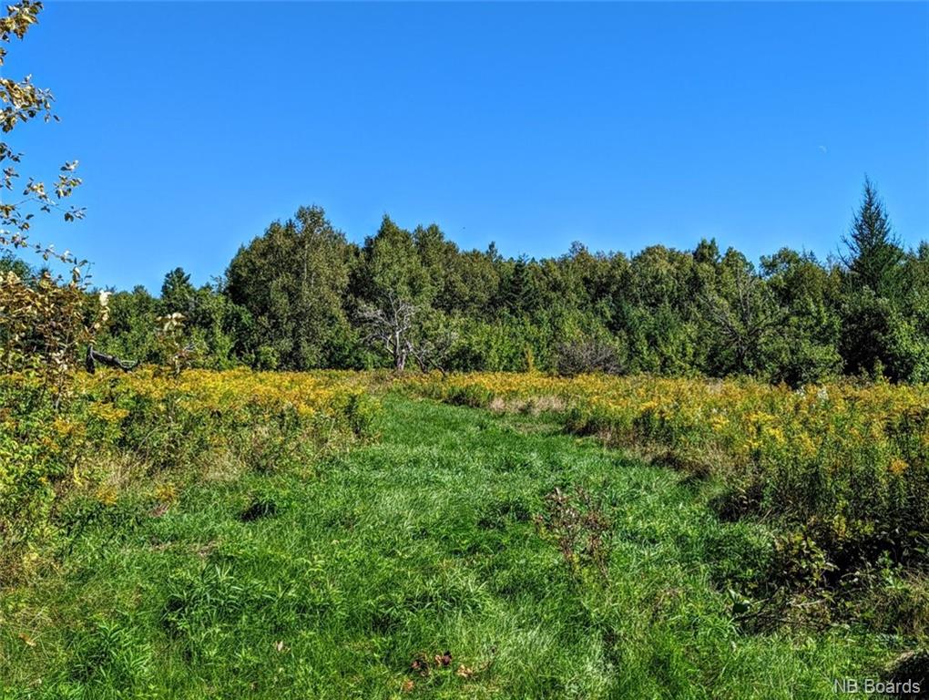 Vacant Land Route 630, Andersonville, New Brunswick (ID NB082145)
