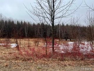 Lot 32 Plan 1531 Birch Street, Harvey, New Brunswick (ID NB085030)