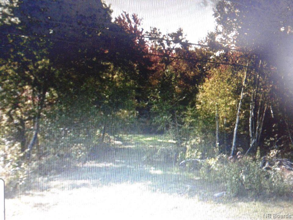 Lot Harvey Road, Mcadam, New Brunswick (ID NB045853)