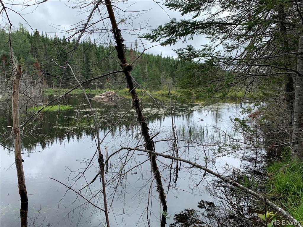 Lot Swede Road, Little Ridge, New Brunswick (ID NB078835)