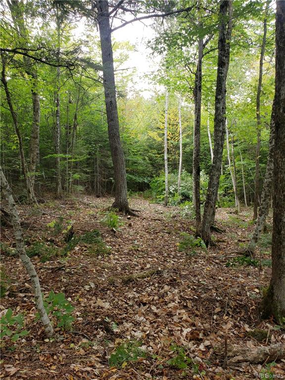 LOT Kelly Lane, Dumfries, New Brunswick (ID NB049748)