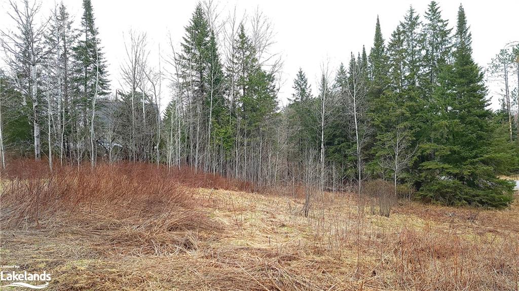 KERNOHAN FARM Trail, Minden, Ontario (ID 40229828)